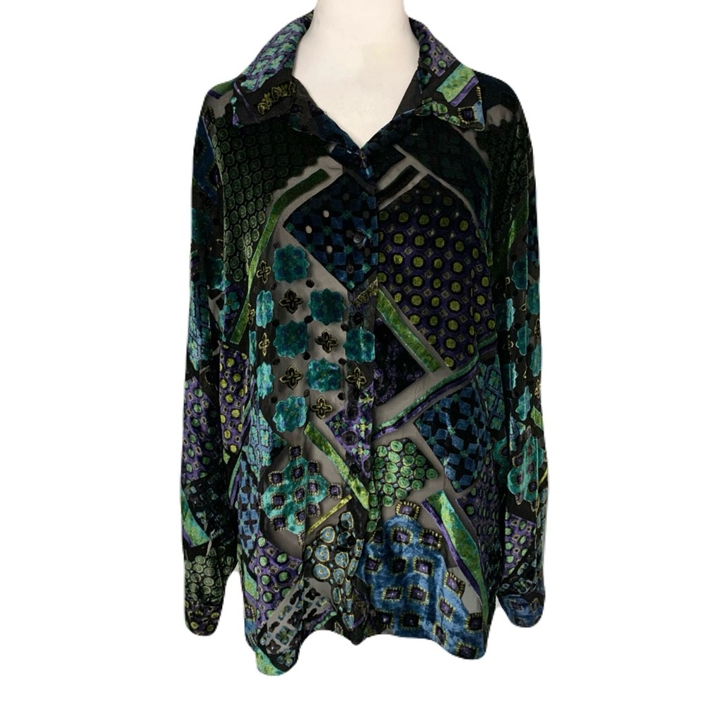 Women’s Large Multicolor Sheer Velvet Patterned Button Blouse Whimsigoth Floral